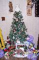 tree * The tree * 1536 x 2304 * (1004KB)
